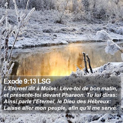 Exode 9:13 LSG Bible Verse Image