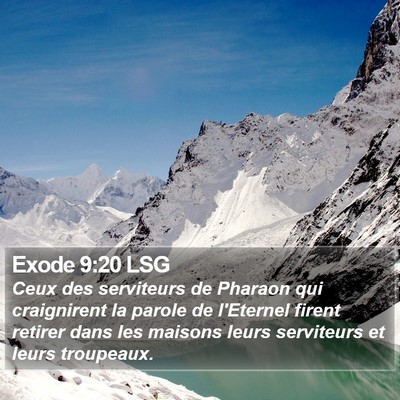 Exode 9:20 LSG Bible Verse Image