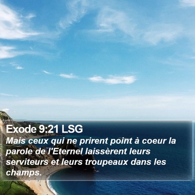 Exode 9:21 LSG Bible Verse Image
