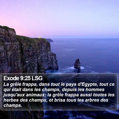 Exode 9:25 LSG Bible Verse Image