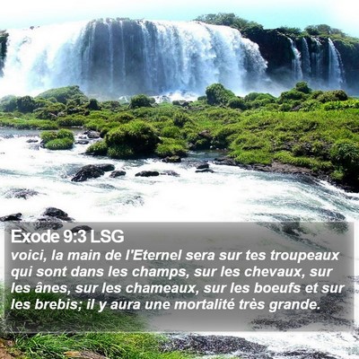 Exode 9:3 LSG Bible Verse Image