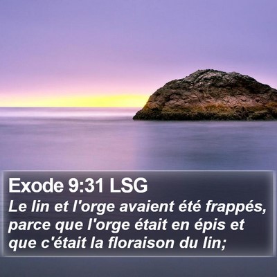 Exode 9:31 LSG Bible Verse Image