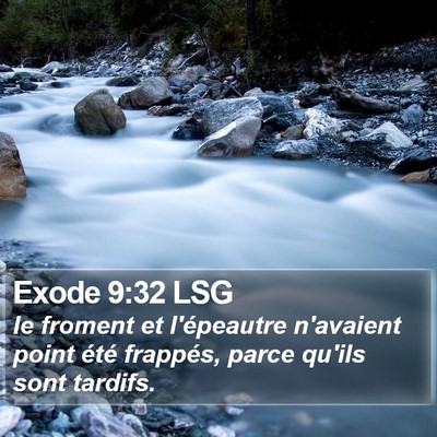 Exode 9:32 LSG Bible Verse Image