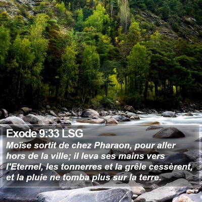 Exode 9:33 LSG Bible Verse Image