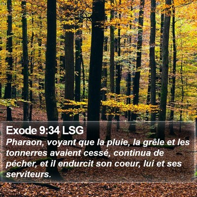 Exode 9:34 LSG Bible Verse Image