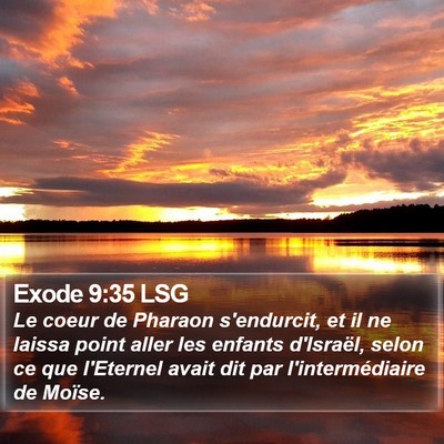 Exode 9:35 LSG Bible Verse Image