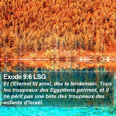 Exode 9:6 LSG Bible Verse Image