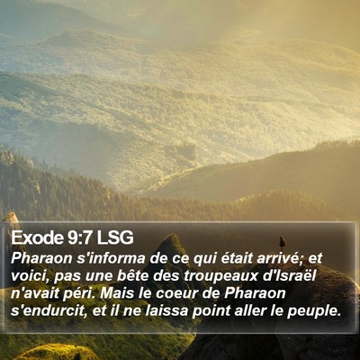 Exode 9:7 LSG Bible Verse Image
