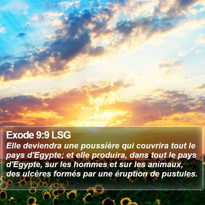 Exode 9:9 LSG Bible Verse Image