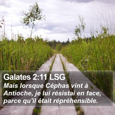 Galates 2:11 LSG Bible Verse Image
