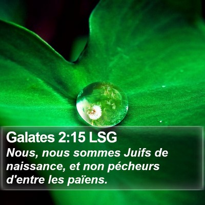 Galates 2:15 LSG Bible Verse Image