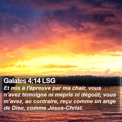 Galates 4:14 LSG Bible Verse Image