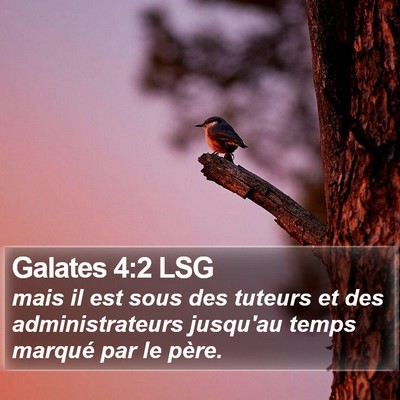 Galates 4:2 LSG Bible Verse Image