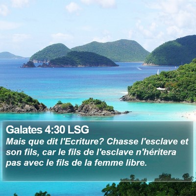 Galates 4:30 LSG Bible Verse Image