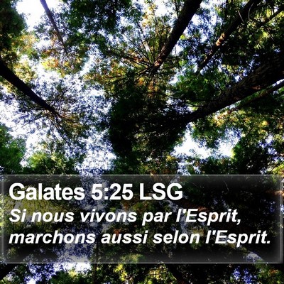 Galates 5:25 LSG Bible Verse Image