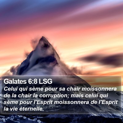 Galates 6:8 LSG Bible Verse Image