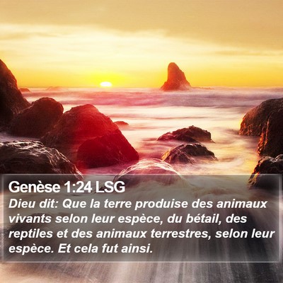 Genèse 1:24 LSG Bible Verse Image