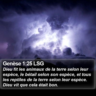 Genèse 1:25 LSG Bible Verse Image