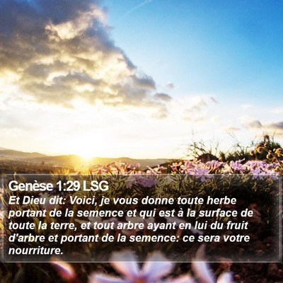 Genèse 1:29 LSG Bible Verse Image