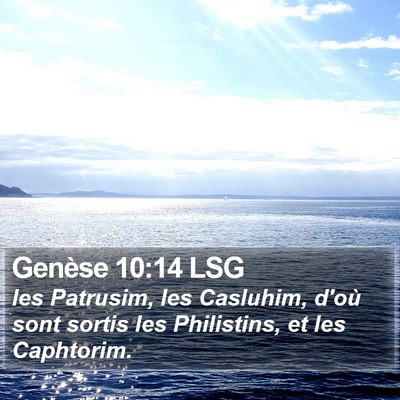 Genèse 10:14 LSG Bible Verse Image