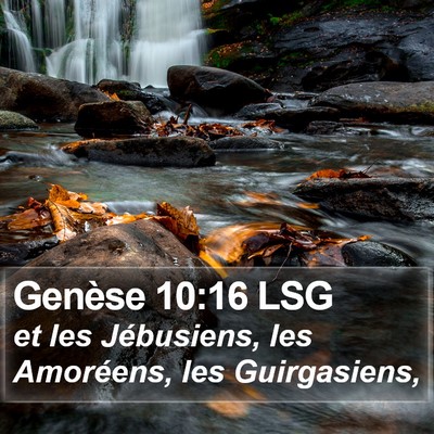 Genèse 10:16 LSG Bible Verse Image