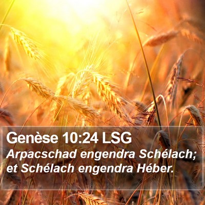 Genèse 10:24 LSG Bible Verse Image