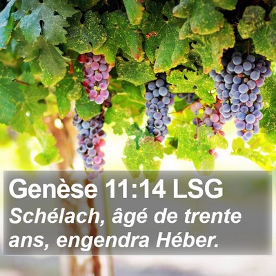 Genèse 11:14 LSG Bible Verse Image
