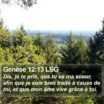 Genèse 12:13 LSG Bible Verse Image