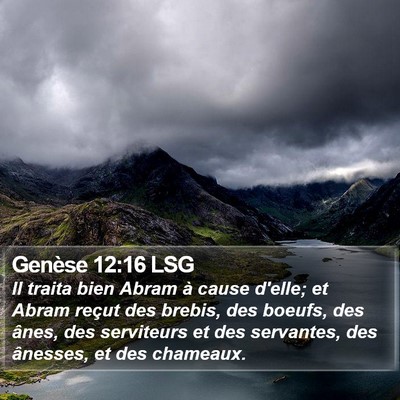 Genèse 12:16 LSG Bible Verse Image