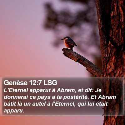 Genèse 12:7 LSG Bible Verse Image