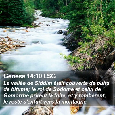 Genèse 14:10 LSG Bible Verse Image