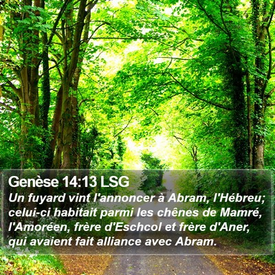 Genèse 14:13 LSG Bible Verse Image