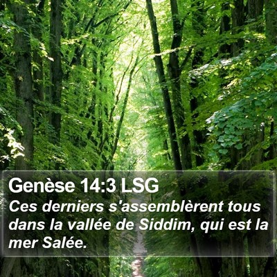 Genèse 14:3 LSG Bible Verse Image