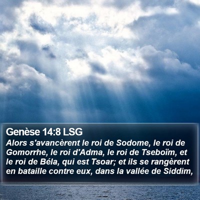 Genèse 14:8 LSG Bible Verse Image