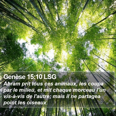 Genèse 15:10 LSG Bible Verse Image