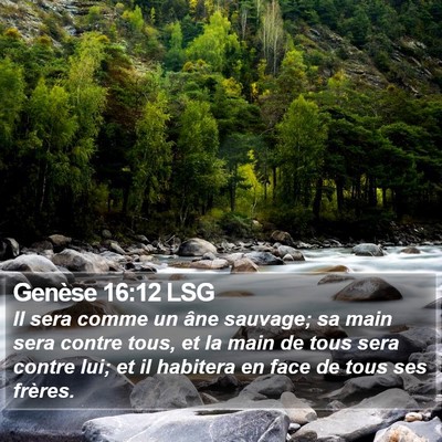 Genèse 16:12 LSG Bible Verse Image