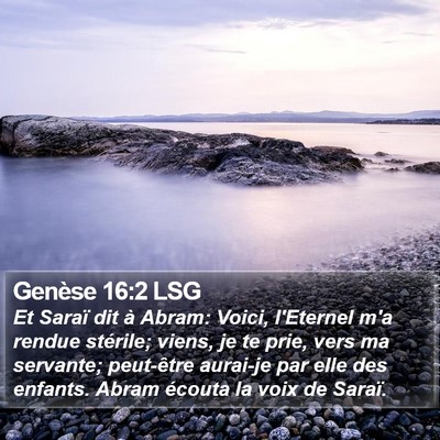 Genèse 16:2 LSG Bible Verse Image