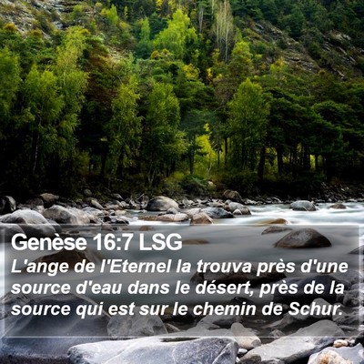 Genèse 16:7 LSG Bible Verse Image