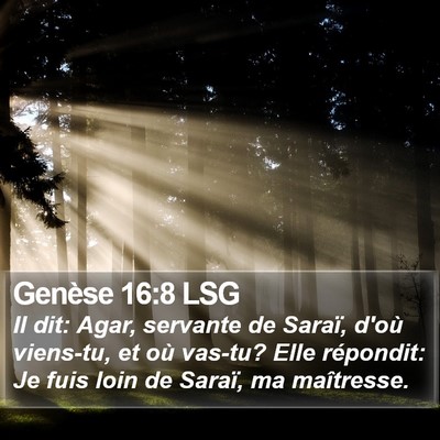 Genèse 16:8 LSG Bible Verse Image