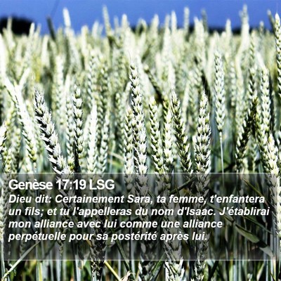 Genèse 17:19 LSG Bible Verse Image