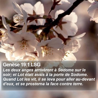 Genèse 19:1 LSG Bible Verse Image
