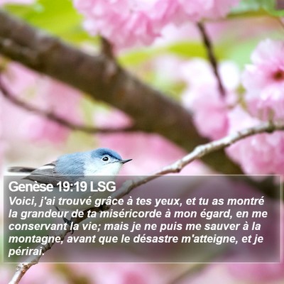 Genèse 19:19 LSG Bible Verse Image