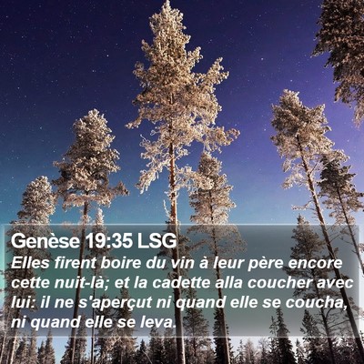 Genèse 19:35 LSG Bible Verse Image