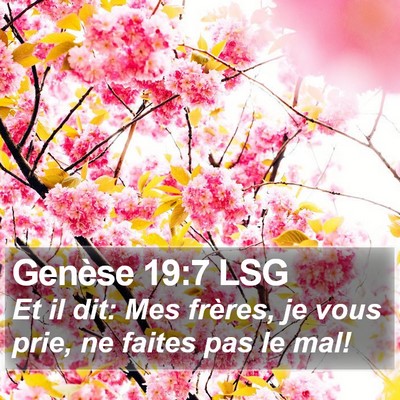 Genèse 19:7 LSG Bible Verse Image