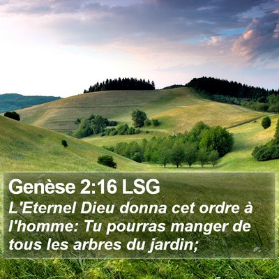 Genèse 2:16 LSG Bible Verse Image