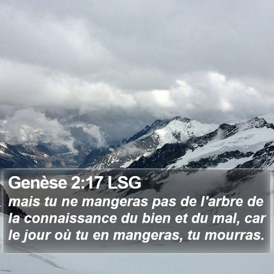 Genèse 2:17 LSG Bible Verse Image