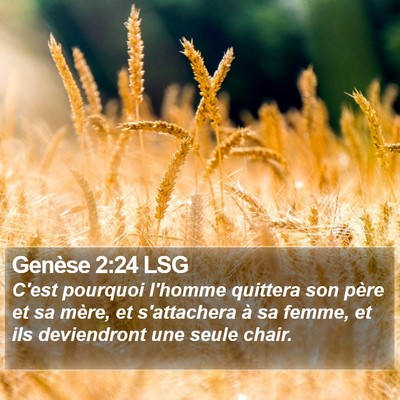Genèse 2:24 LSG Bible Verse Image