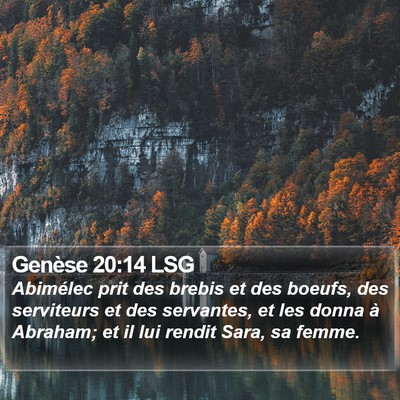 Genèse 20:14 LSG Bible Verse Image