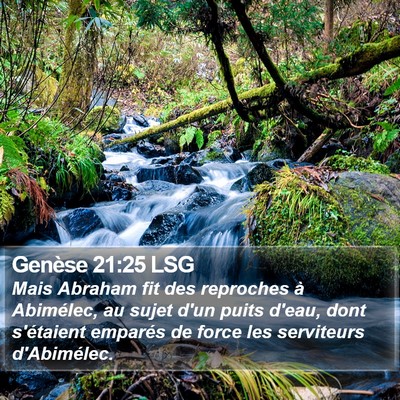 Genèse 21:25 LSG Bible Verse Image