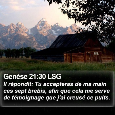 Genèse 21:30 LSG Bible Verse Image